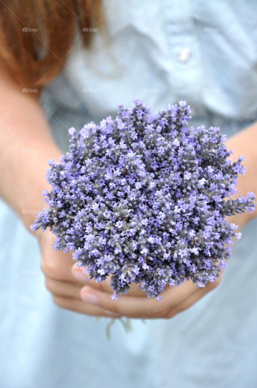 Lavender bouquet 