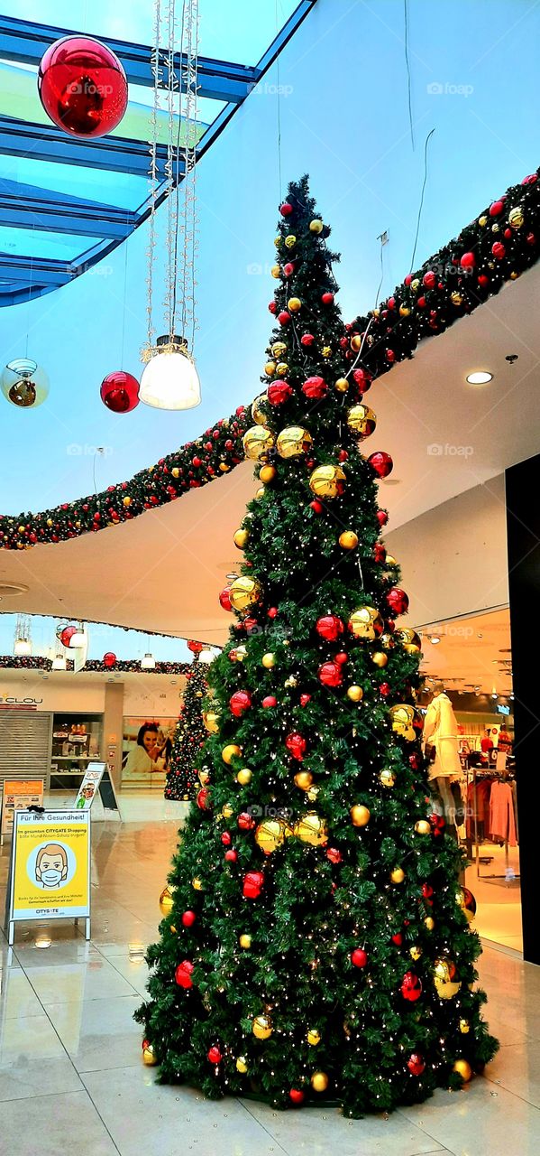 Elements of December