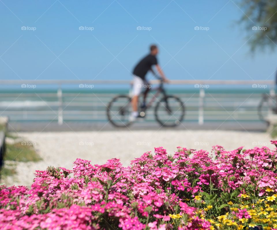 cyclist on the embankment