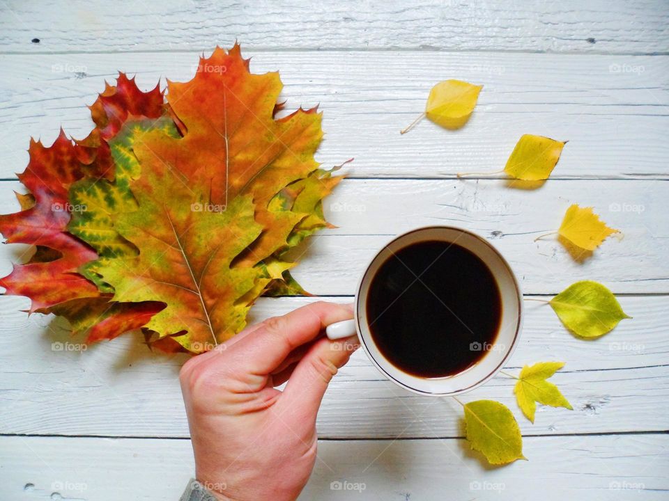 cup of coffee and colorful autumn leaves on a white background