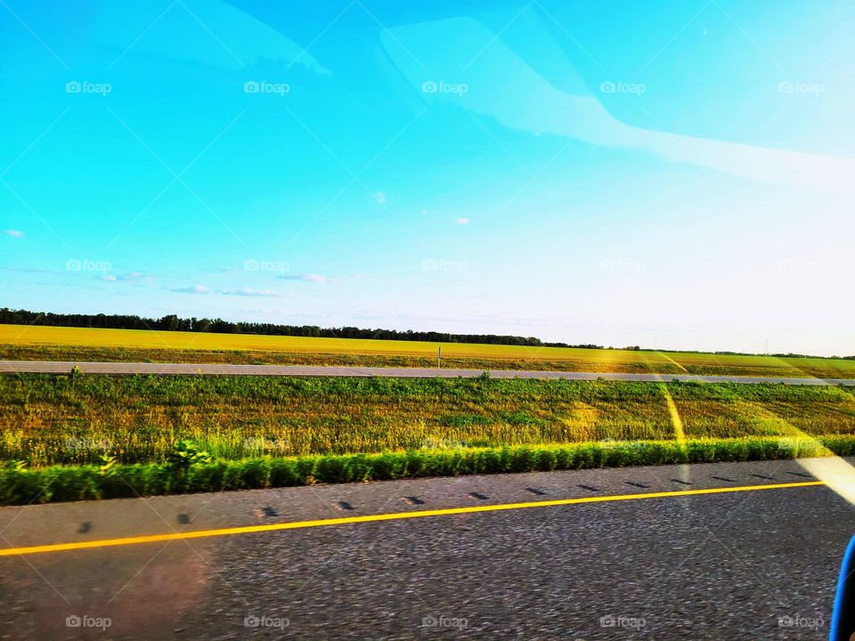 in the middle of highway