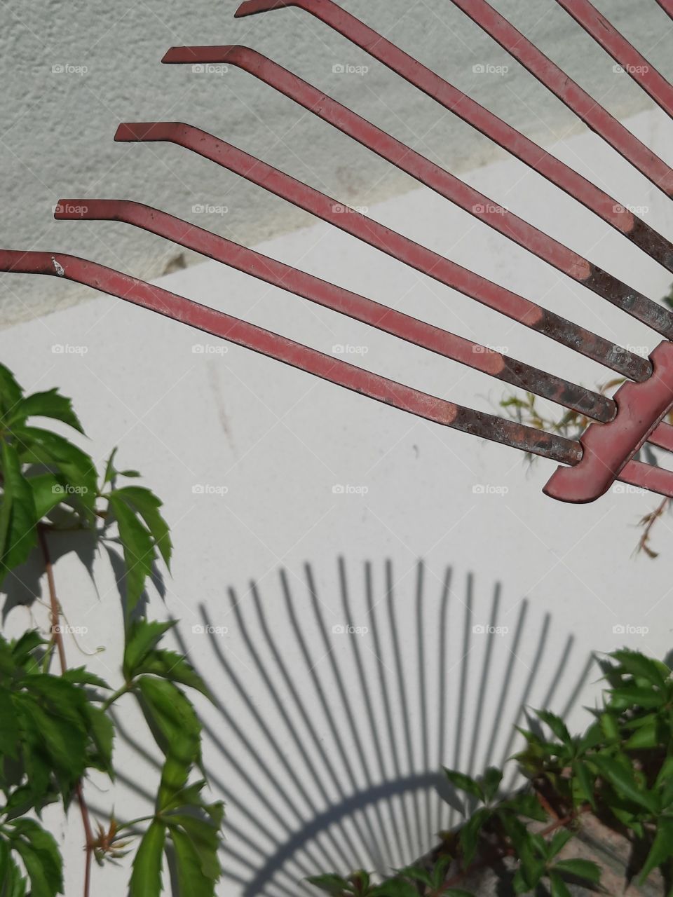 red rake and its shadow on white stone wall