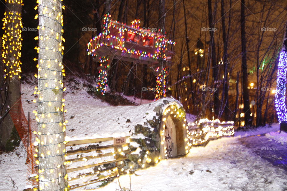 Christmas Lights at Lafarge Park, Coquitlam, BC... elves use that door to get to the north pole (shortcut?)