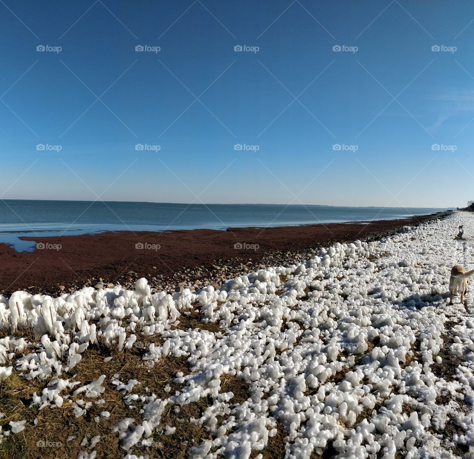 after a windy and cold night