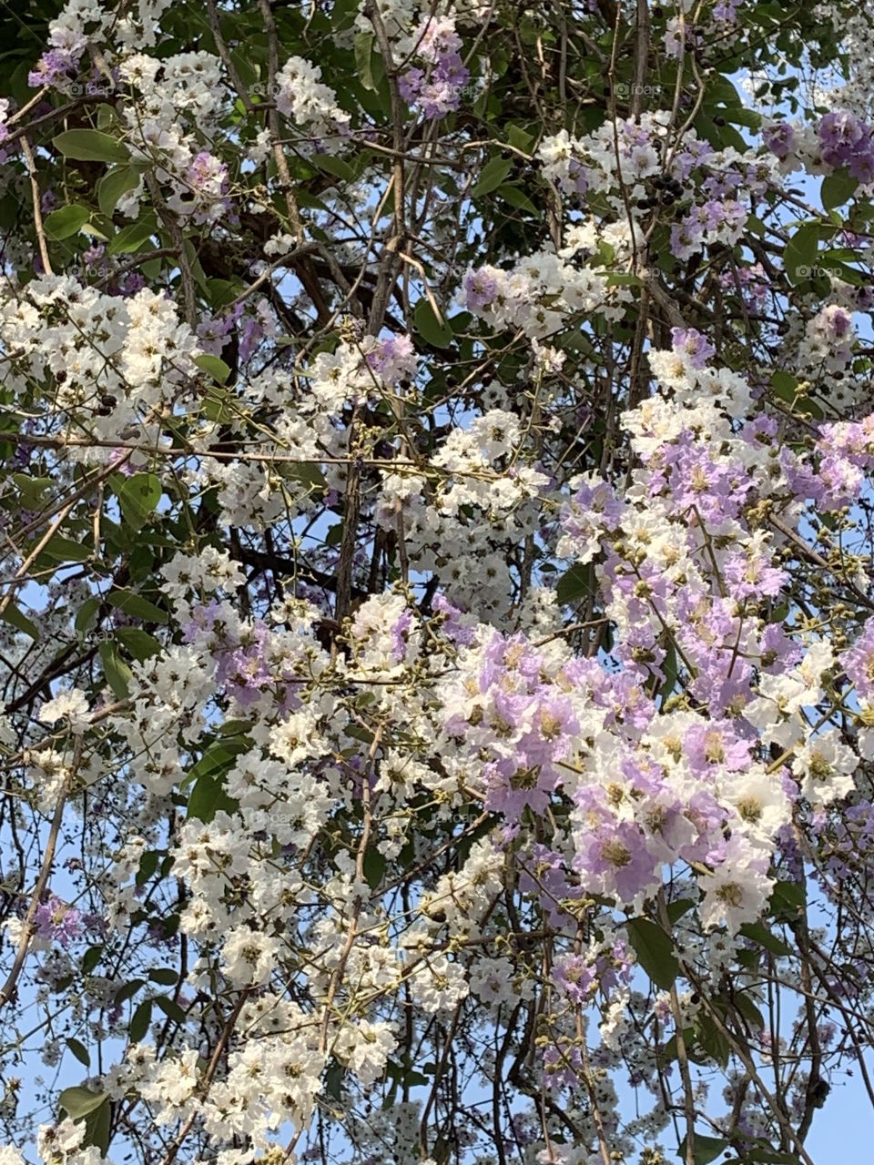 Beauty is everywhere, Countryside (Thailand)