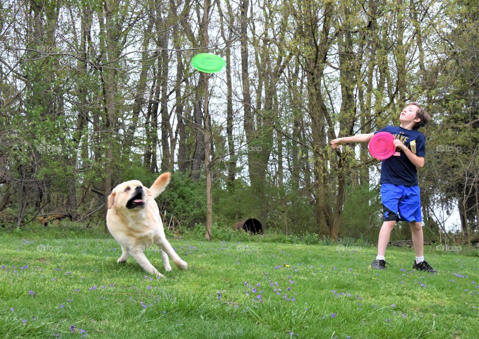 Walking your dog, a boy and his dog taking a frisbee break