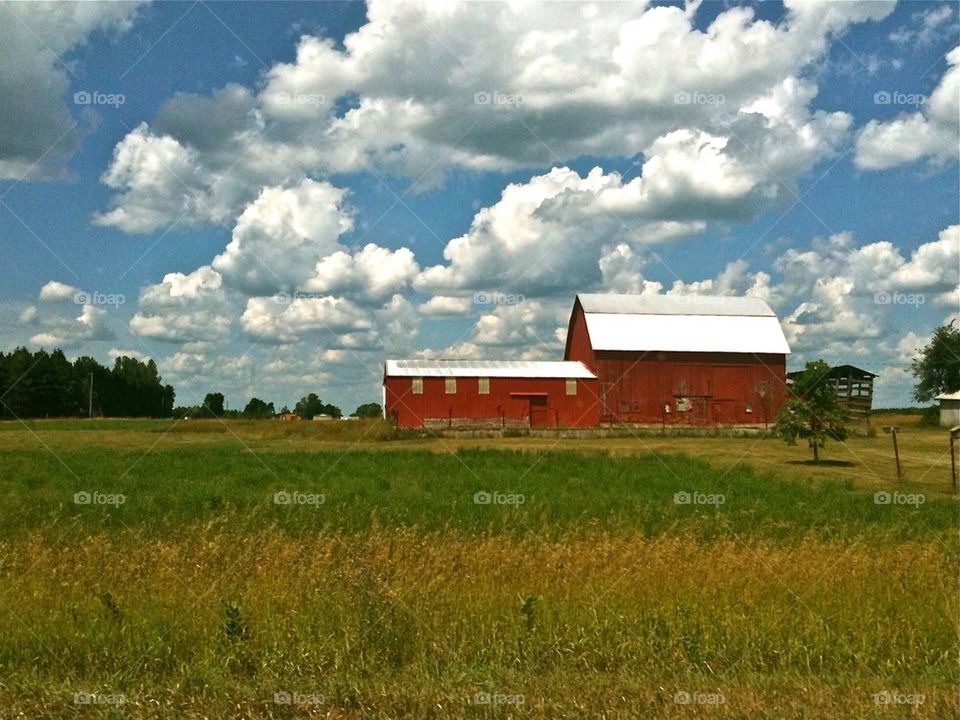 Barn