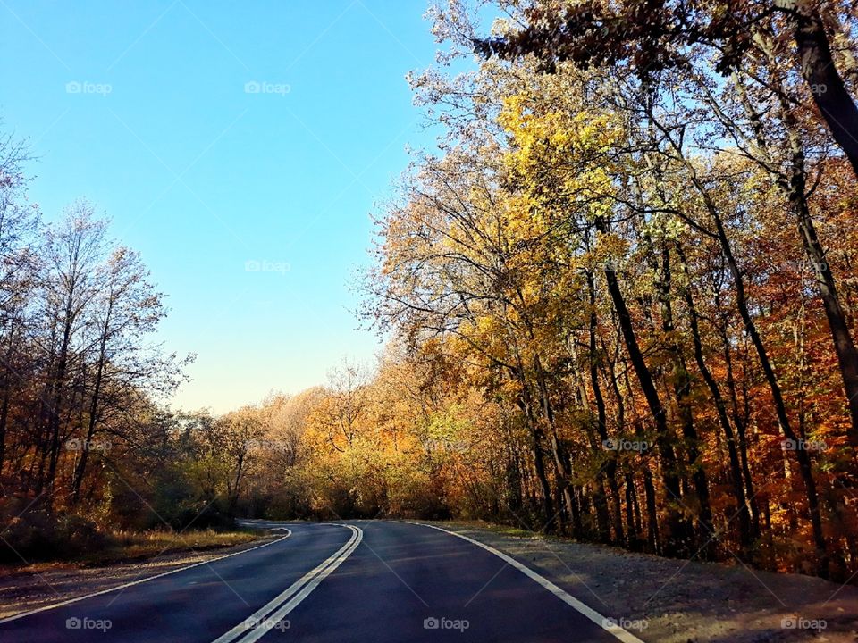 Autumn on the road