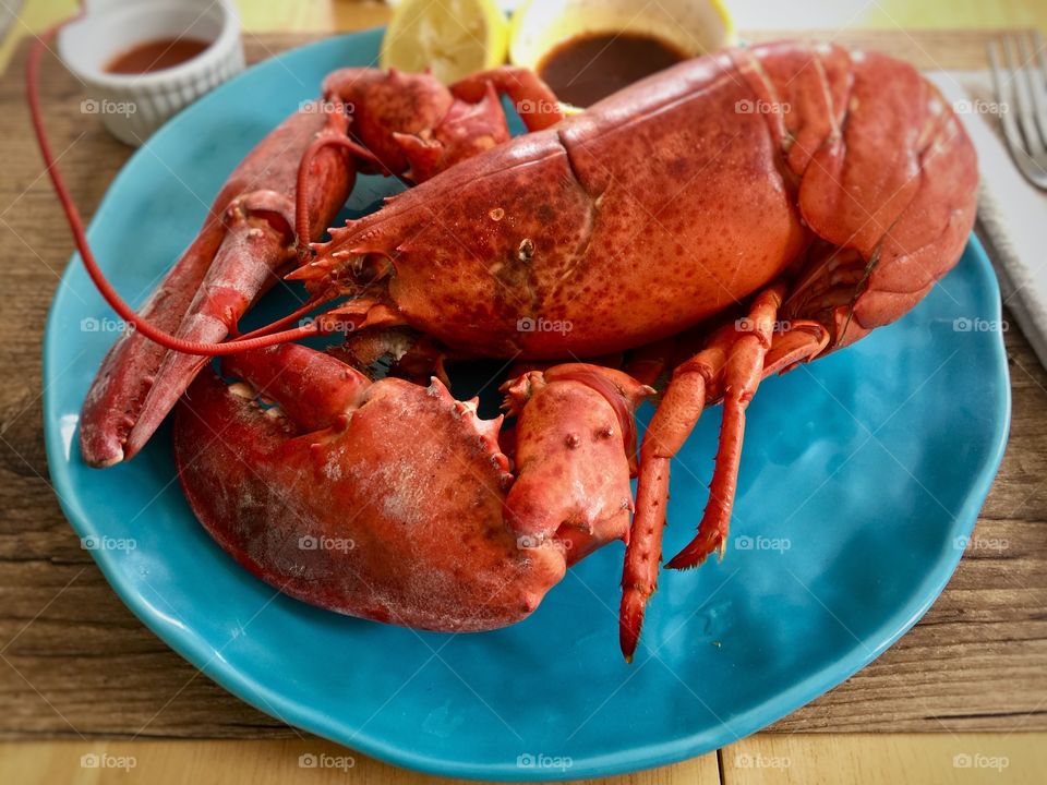 Lobster season
