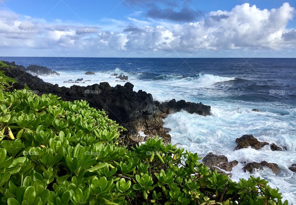 Waves at the sea cliffs of Hawaiian Shores
