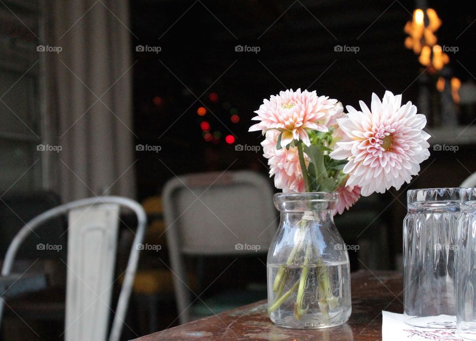 Blooming flowers in jar
