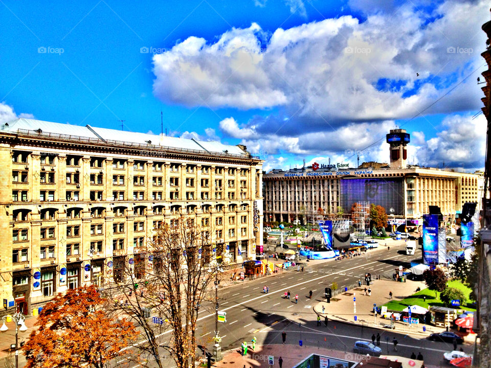 historic people square tree by tinasha