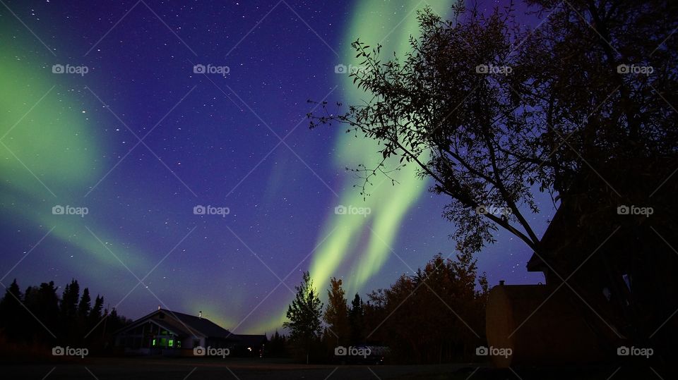 Aurora