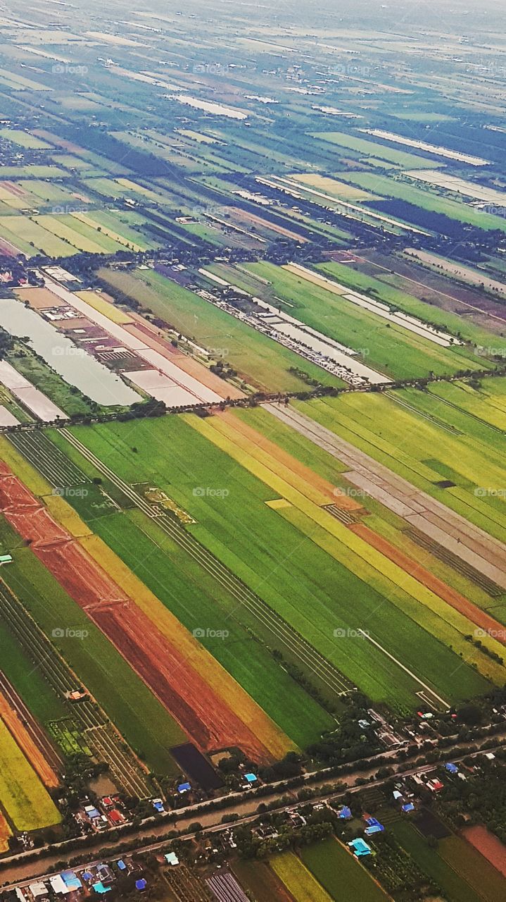 View of rectangle colourful fields from the sky