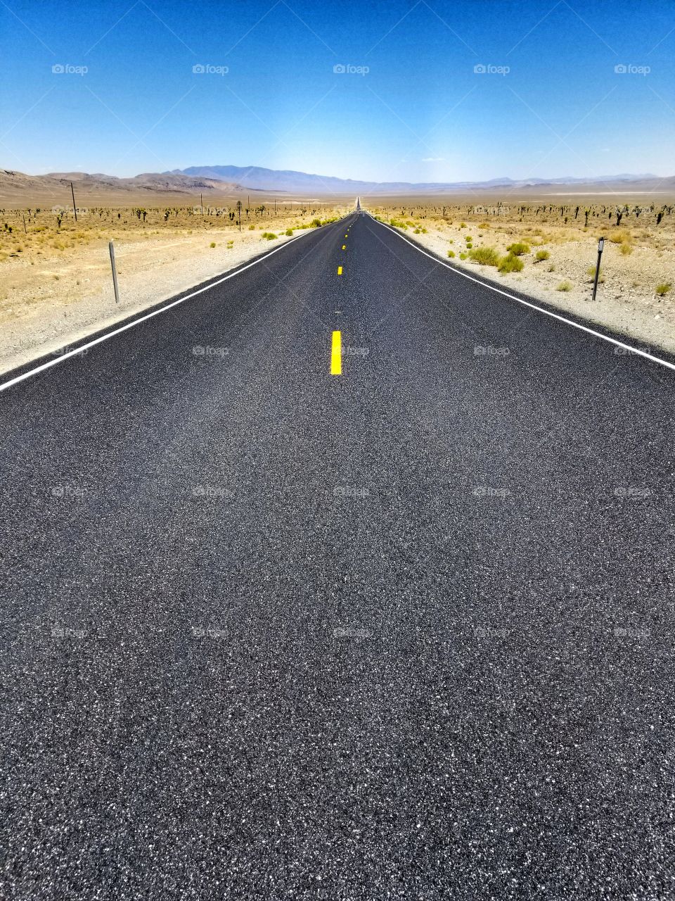 Lonely desert Road