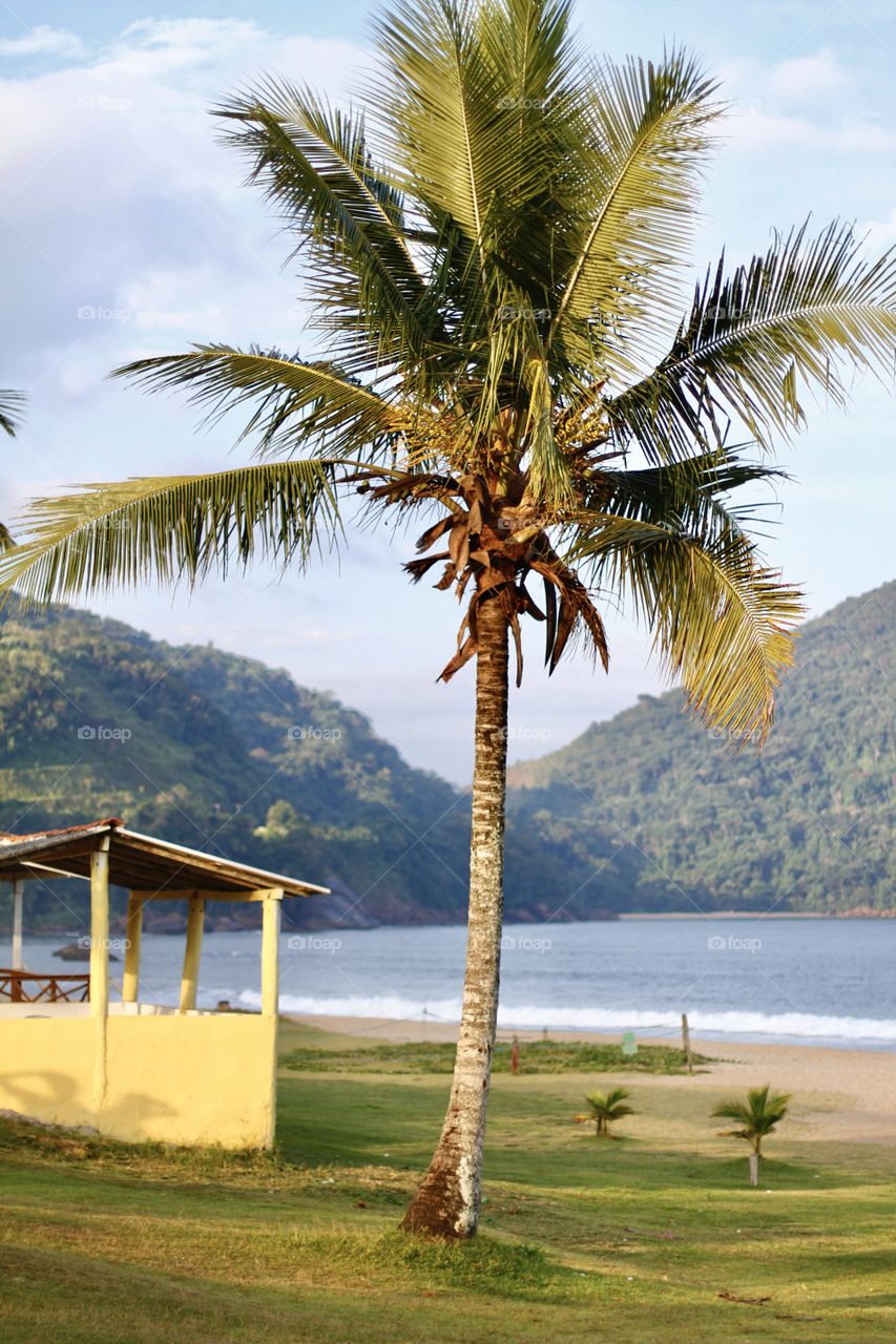 Beautiful Brazilian Beach 