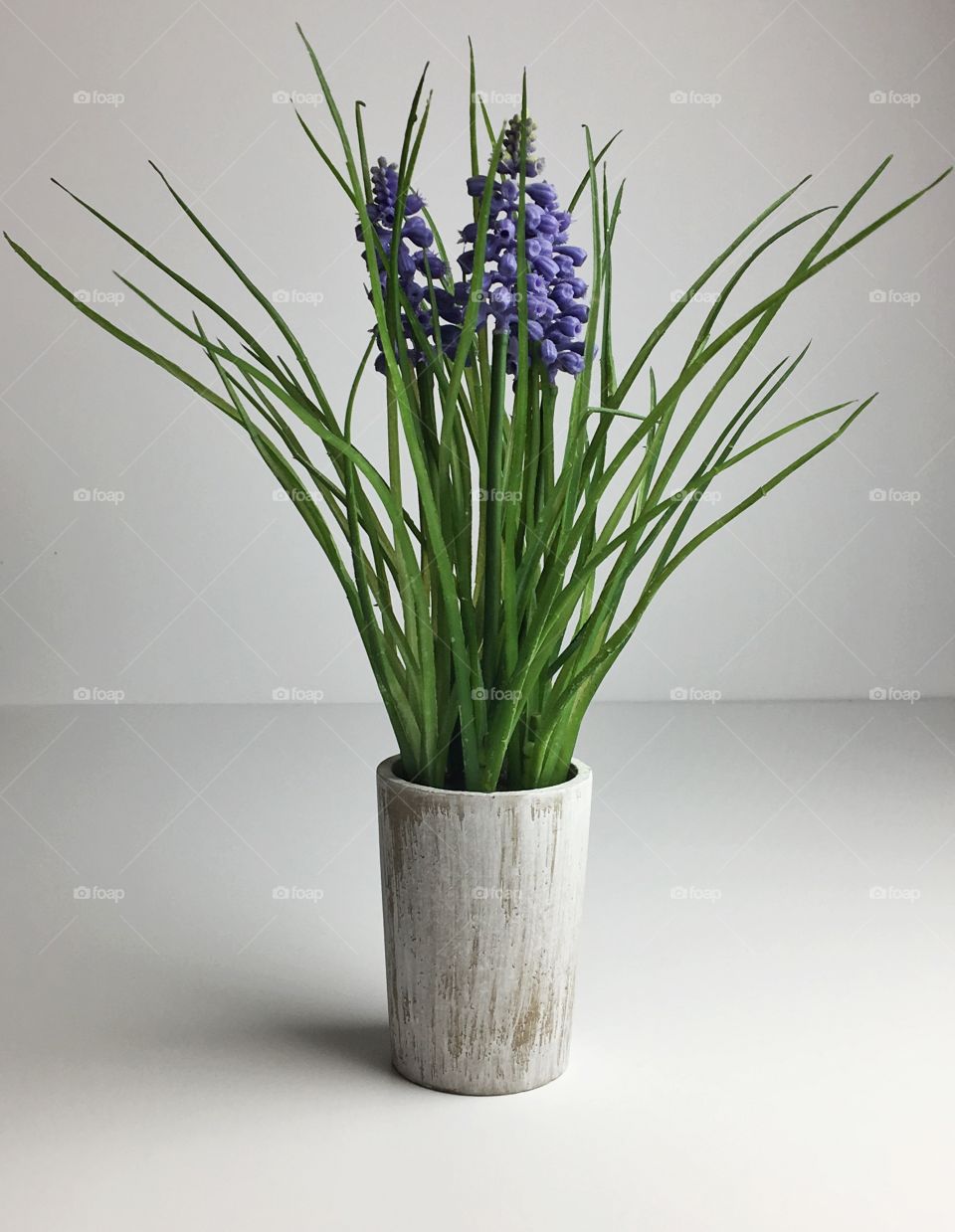 Lavender flowers in wooden pot