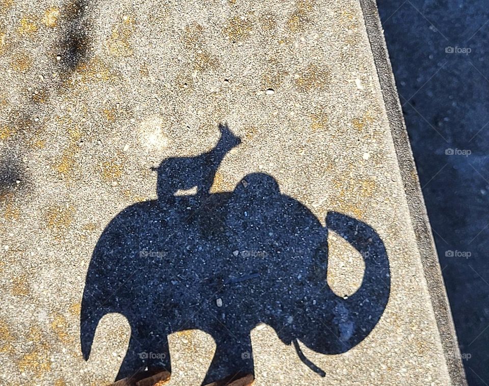 Shadow of a elefant, but what is on his back?