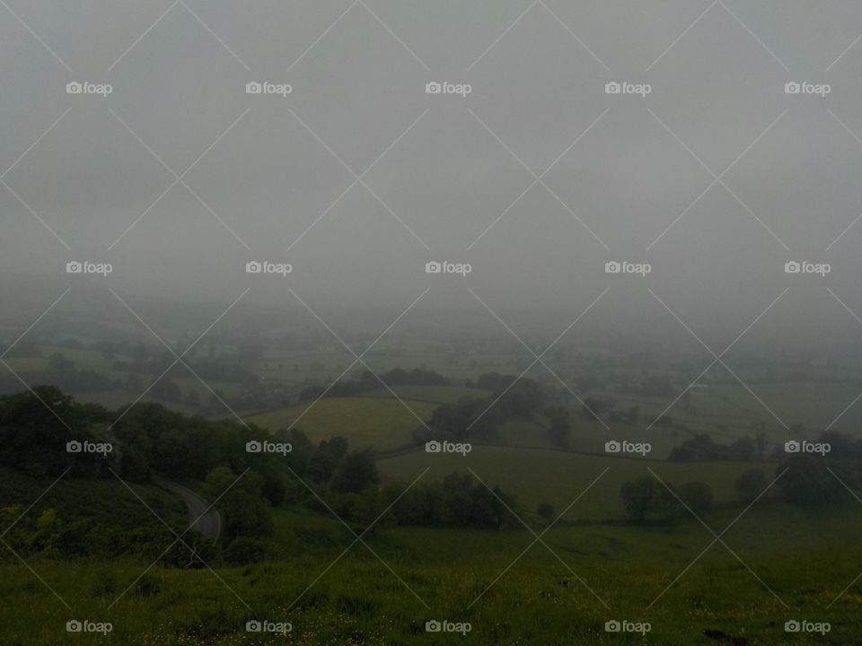 Mist in May fields of Uk 