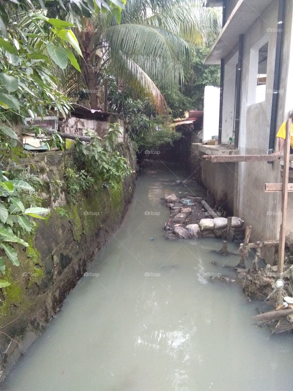 mandaluyung river