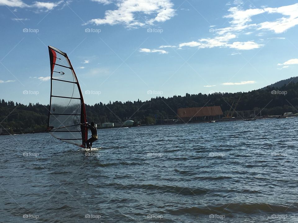 Man windsurfing in harbour