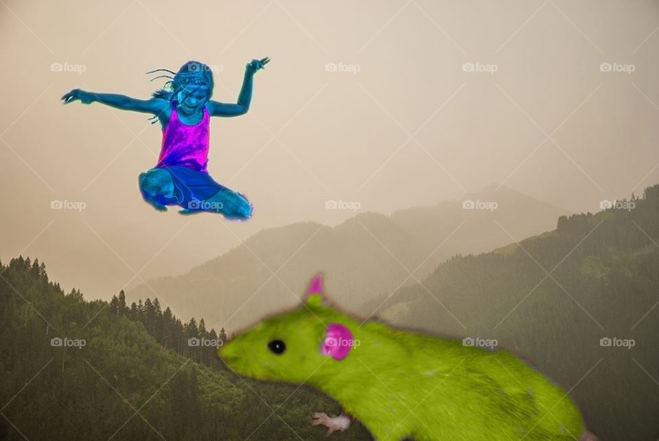 fly ninja rat edited by anrool