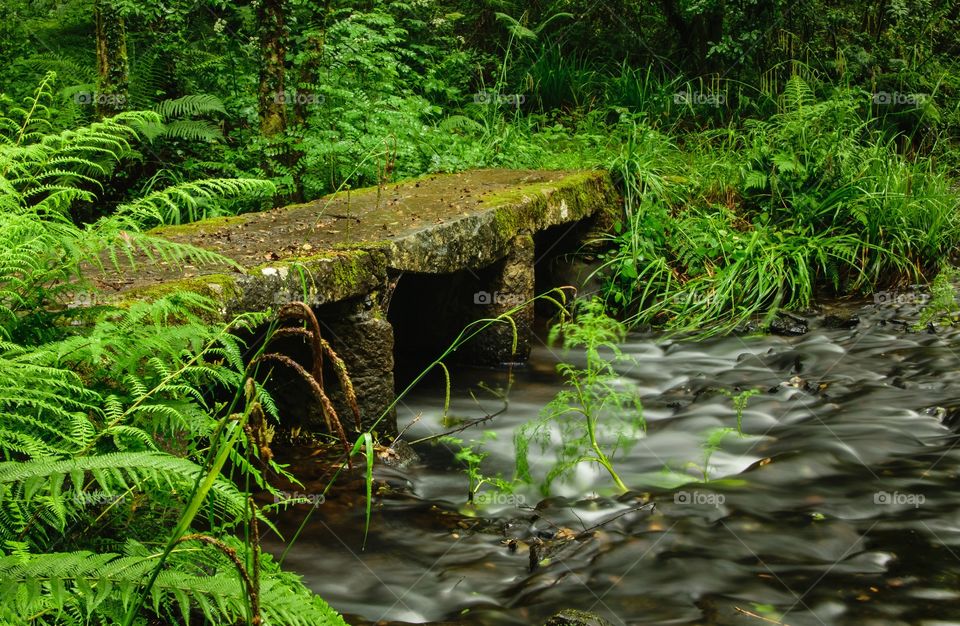 Stone bridge over a stream