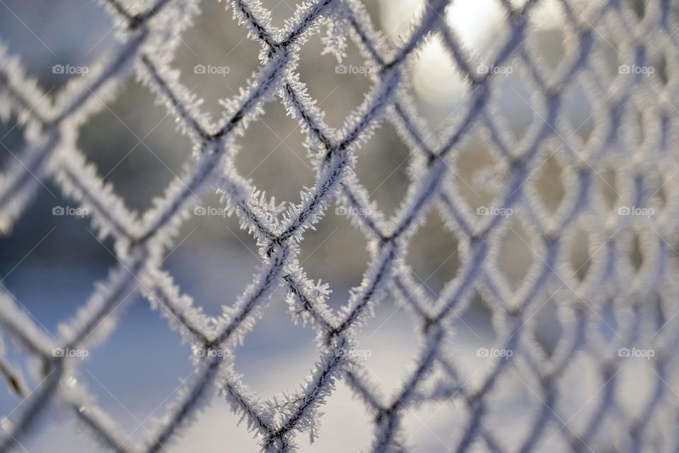 Metal mesh fence in frost