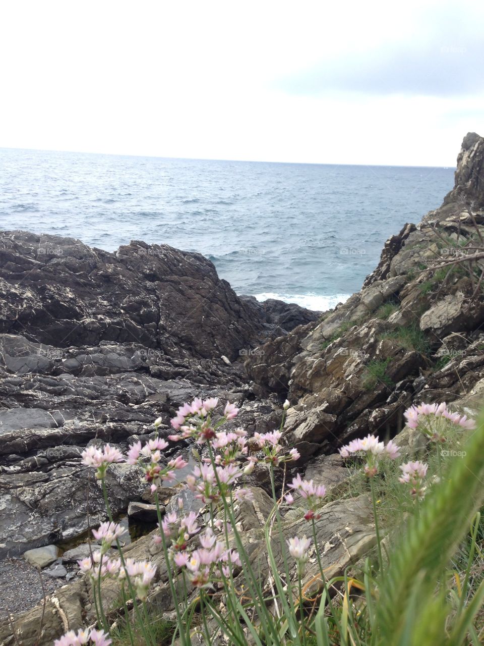 Nervi Genova Liguria