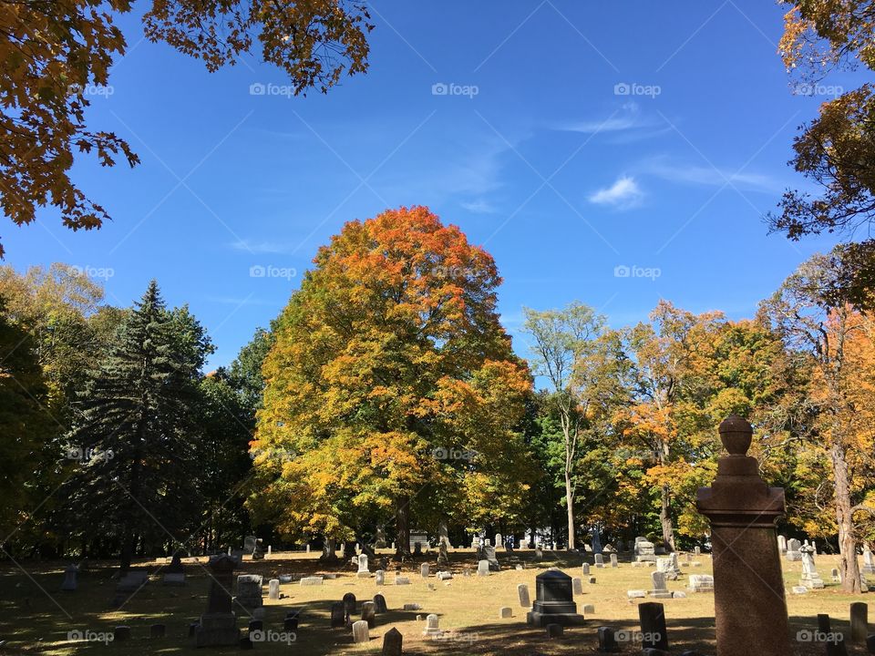 Cemetery in the fall