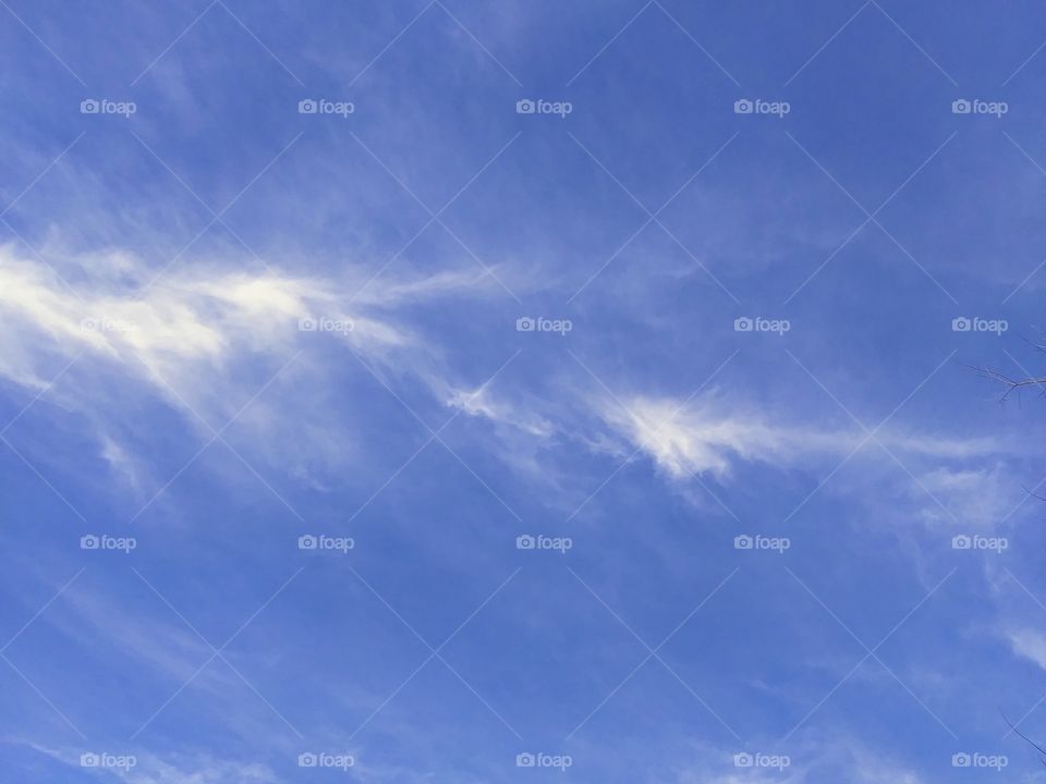 cirrus clouds