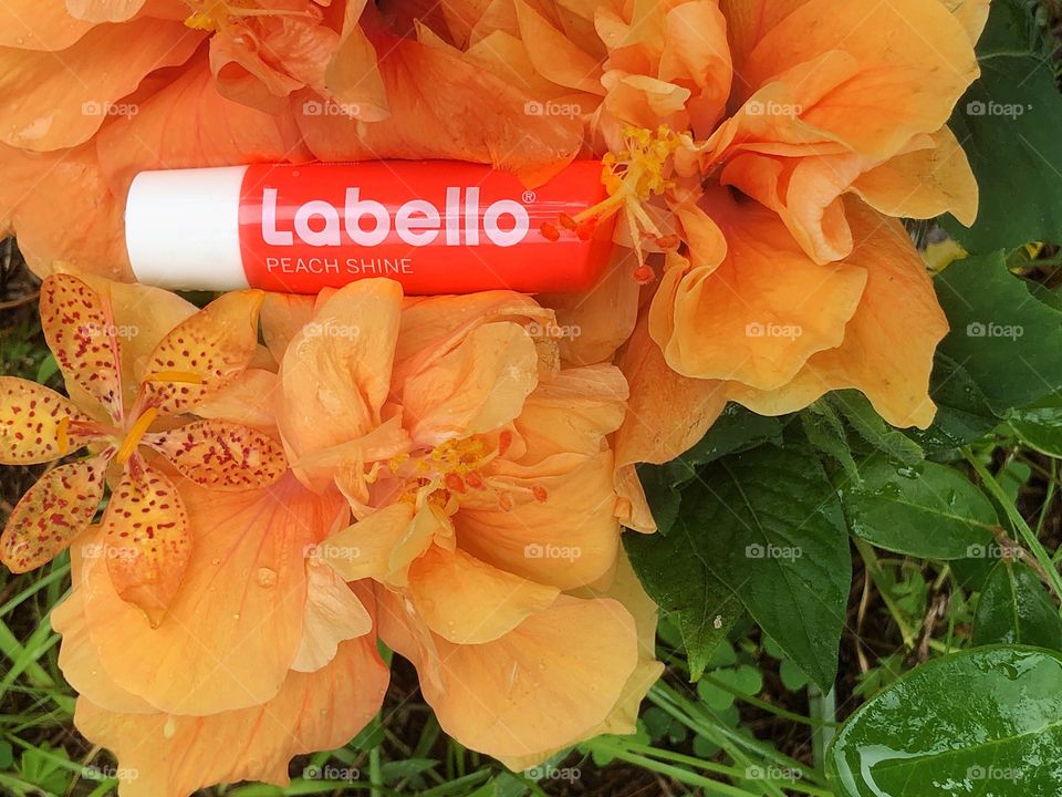 Labello, shiny peach lip balm.