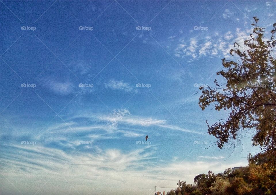 Sky, Landscape, No Person, Daylight, Outdoors