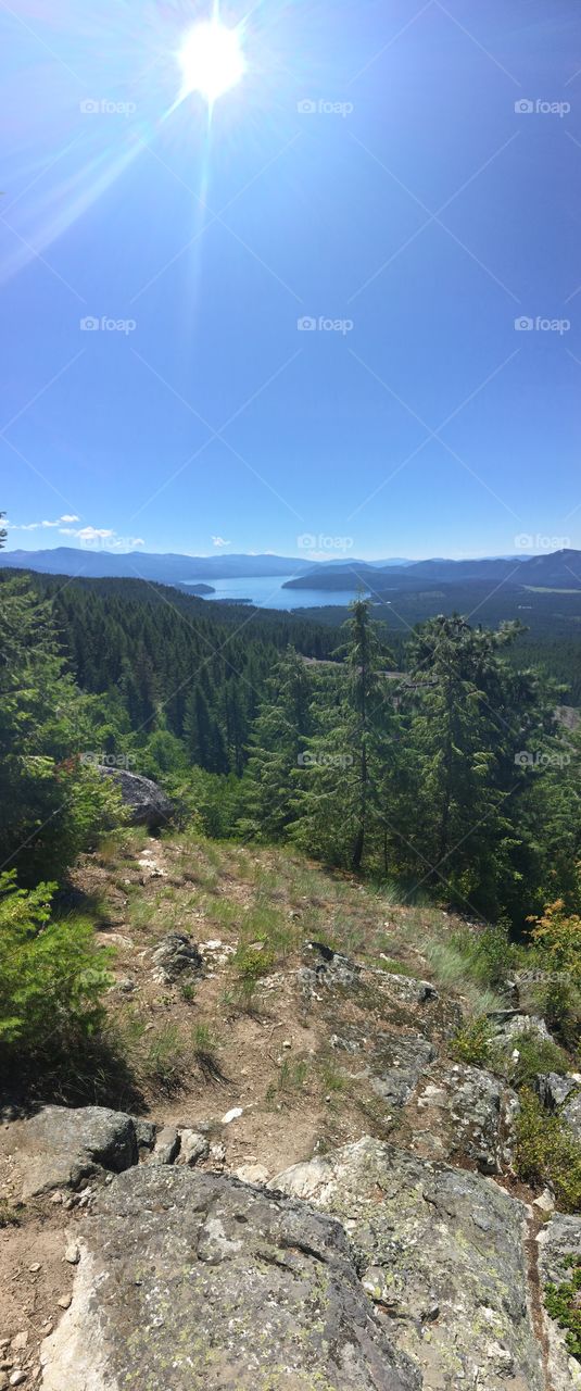The View From the Top.

At the viewpoint of Lakeview Mountain, on the south side of Priest Lake in Idaho, the lake is bordered by forest and sky. Dedicated hikers are rewarded with a stunning view of the lake from above.