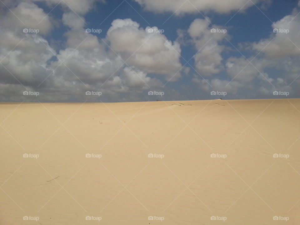 Dunes of corralejo