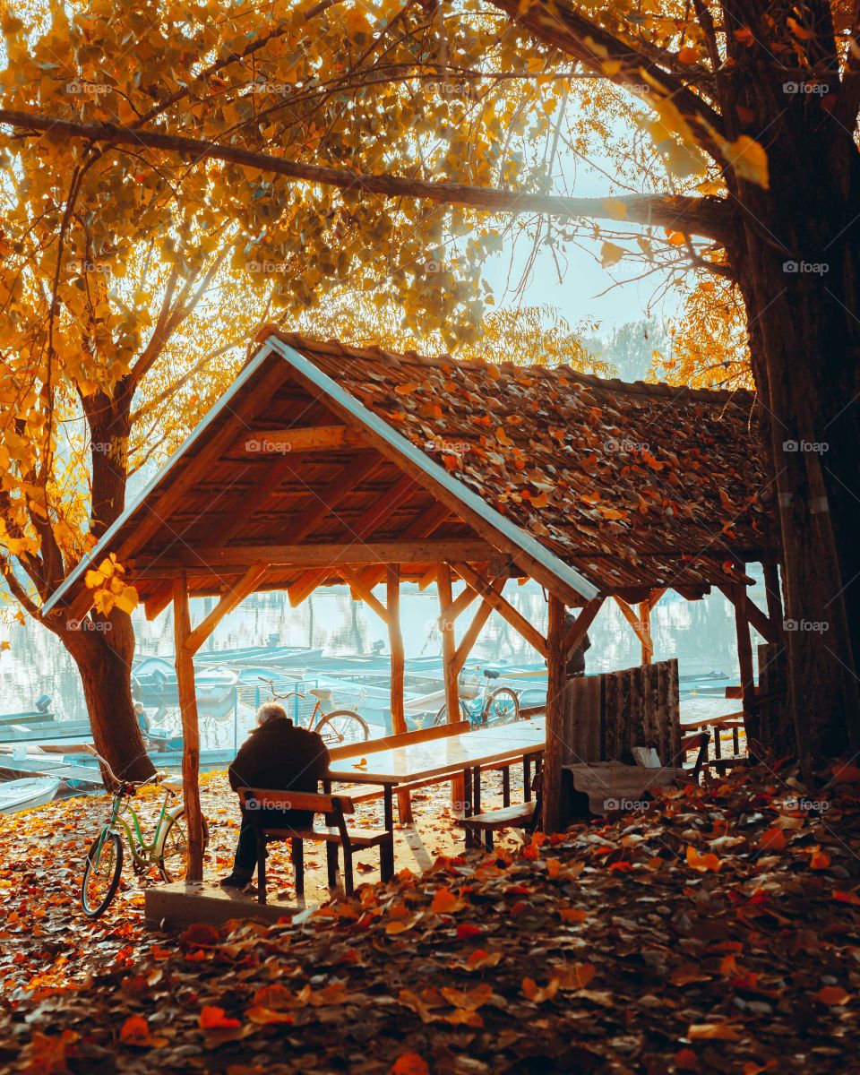 An automne scene in all it's splendor