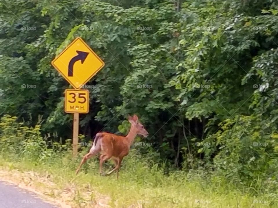 Driving the Back Roads and enjoying everything around us