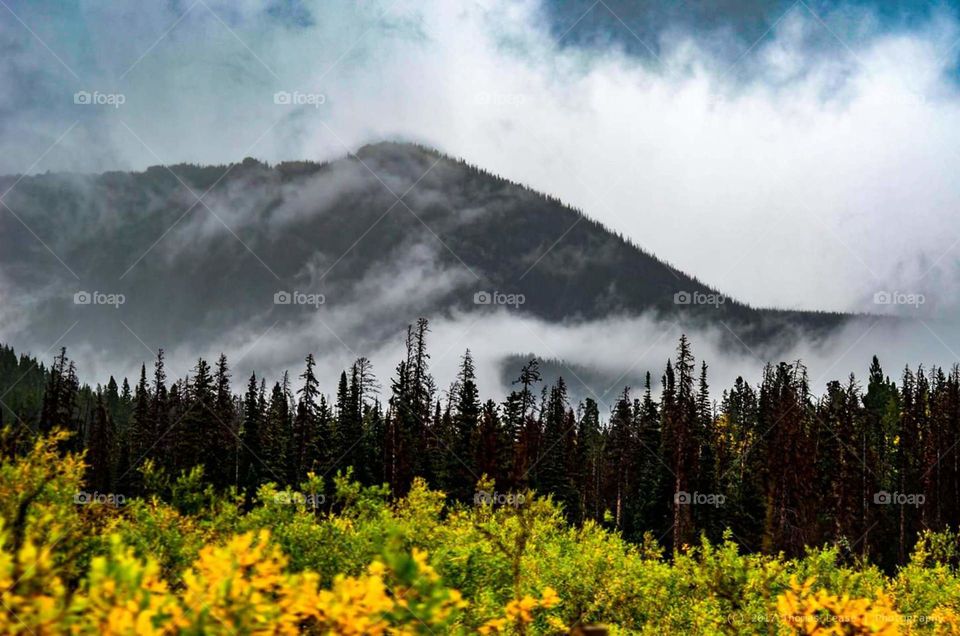 Fall Fog rolling in