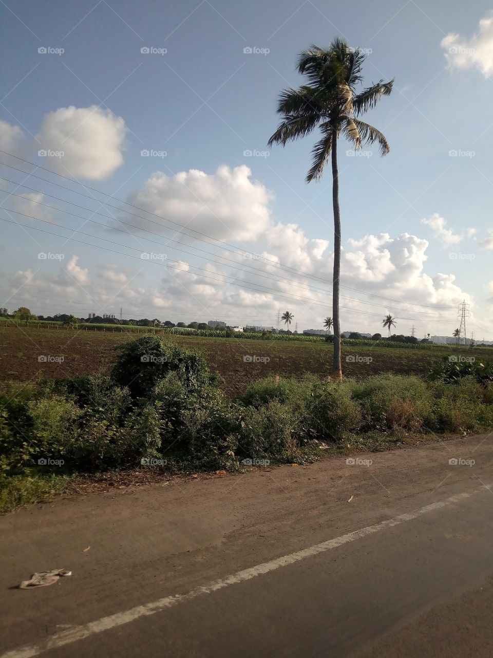 Fashion is temporary, but nature never goes out of style.