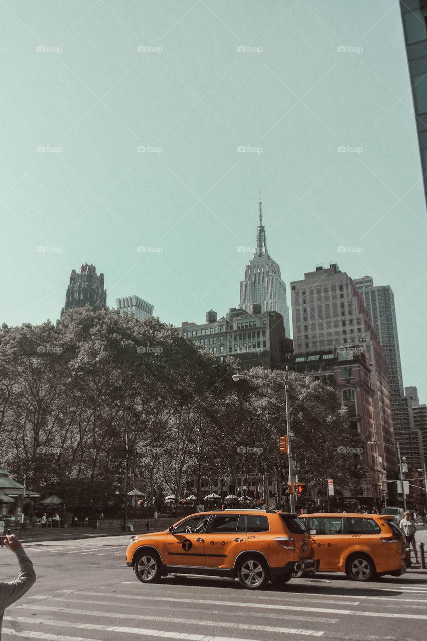 Landscape of taxis in New York 