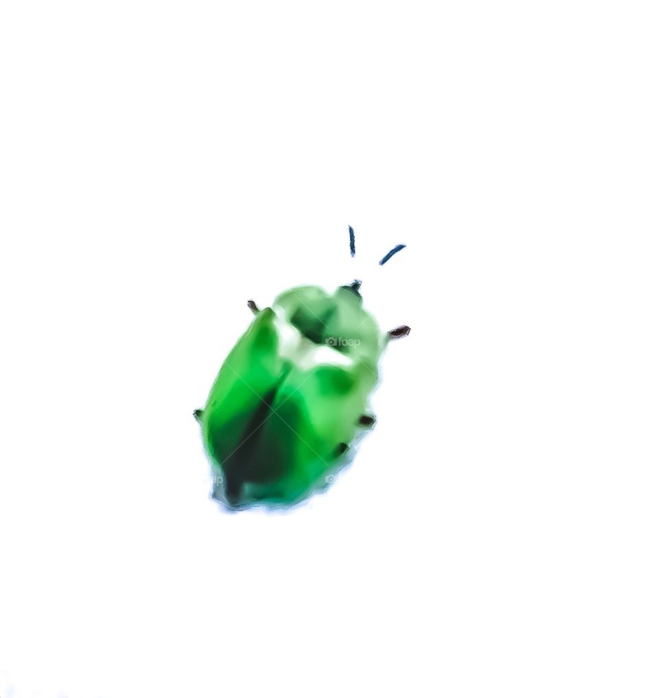 Green Beetle 