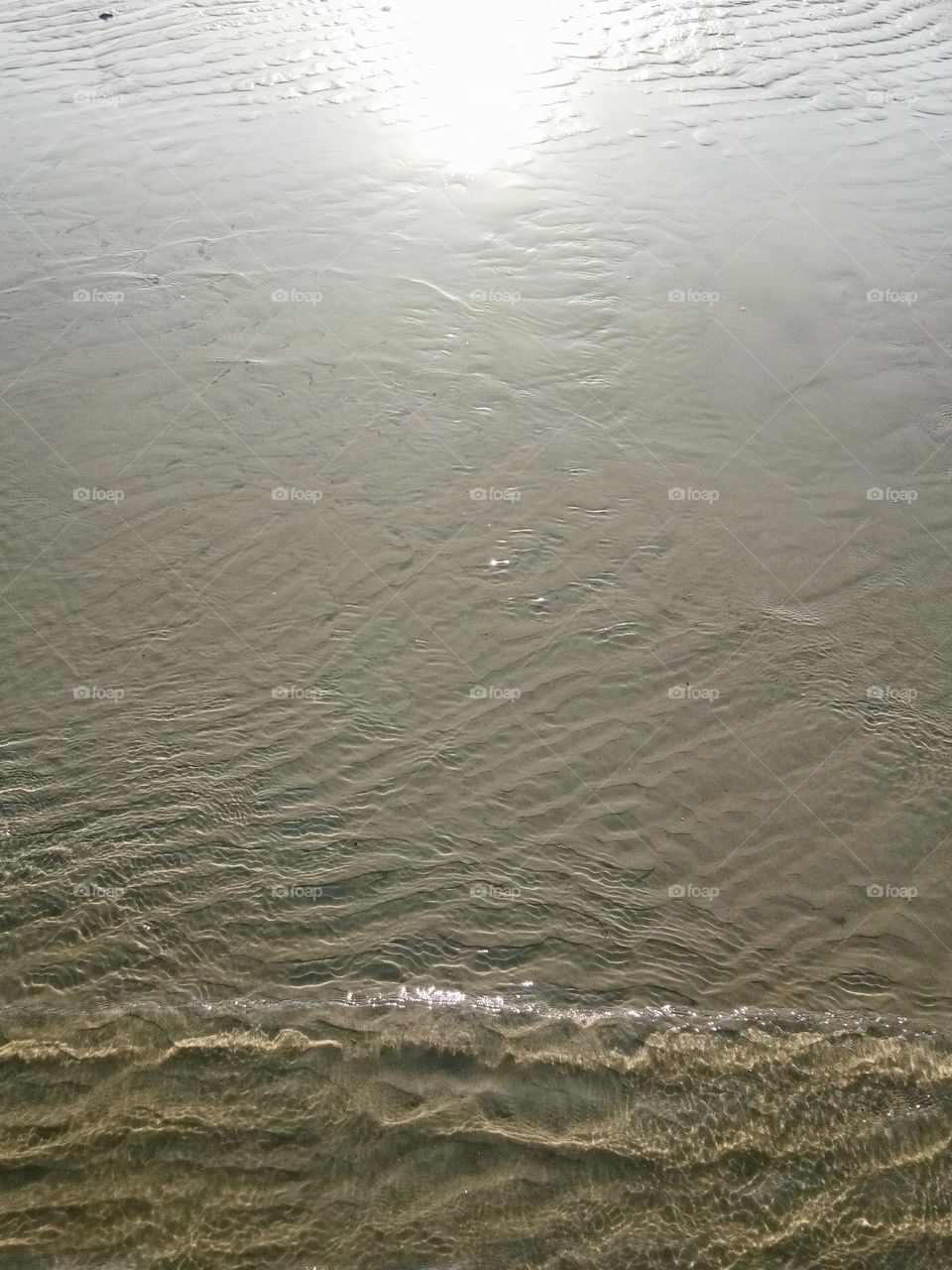 Urban Nature : Water