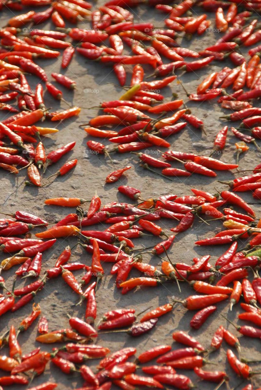 Yangzhou Drying Chilis Up Close