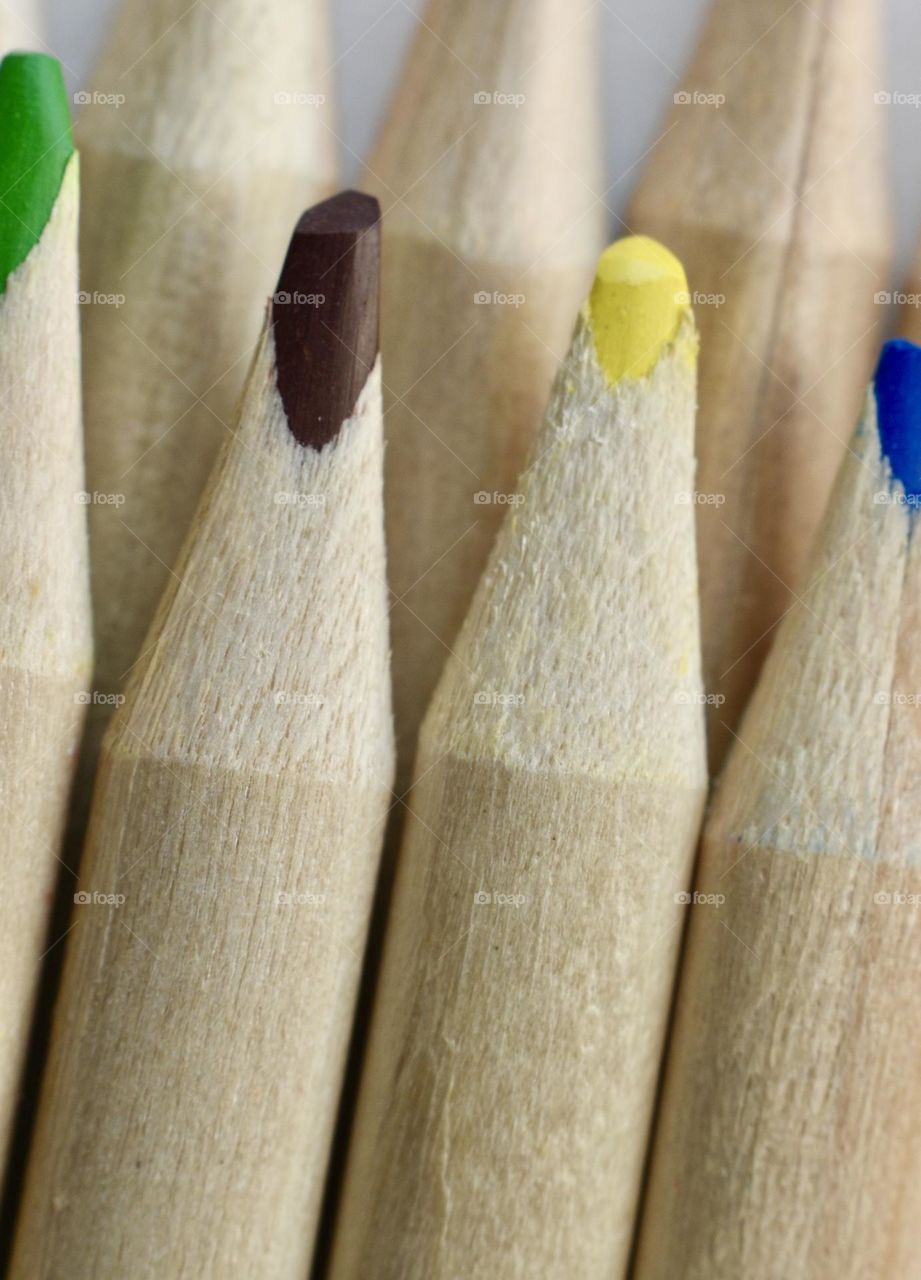 coloring pencils made of wood 