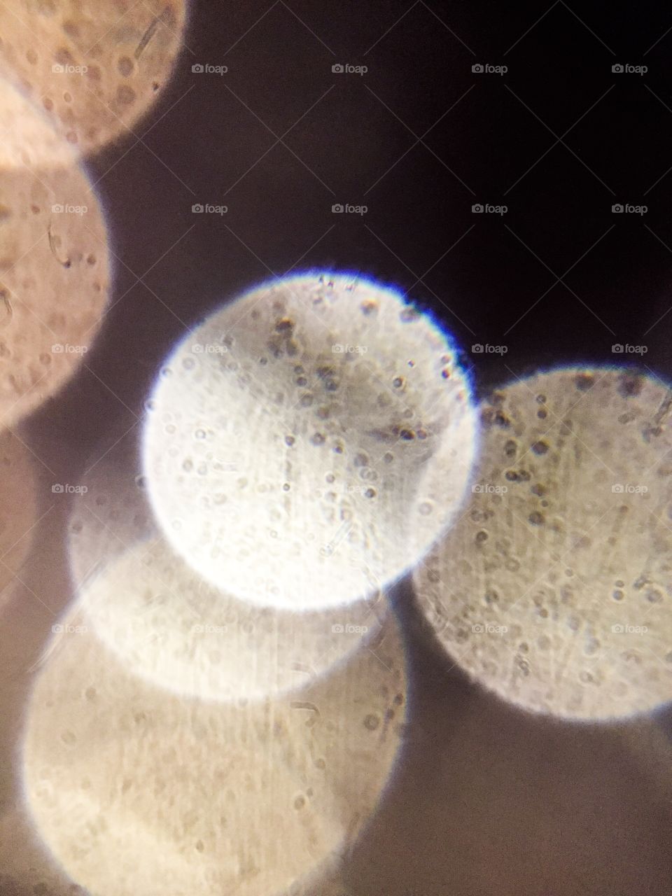 Beautiful boken and micro scope of dust on plastic plate