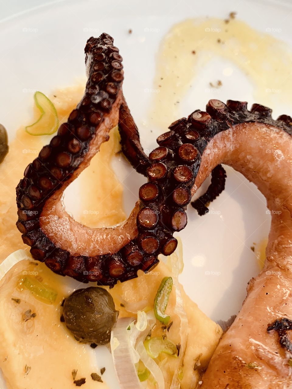 Octopus with fava purée