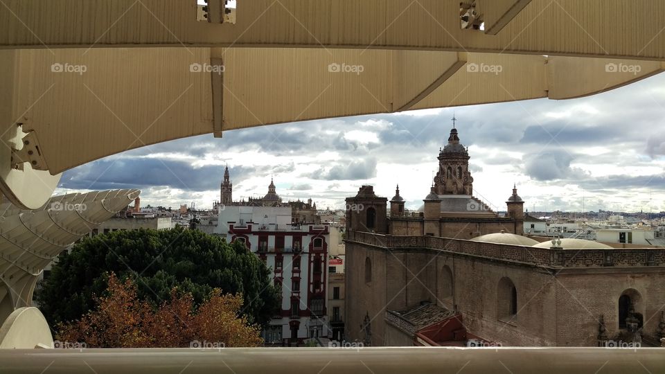 Mushroom with a room