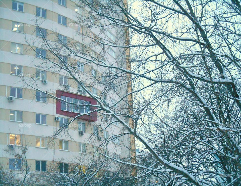 No Person, Architecture, Tree, Building, Winter