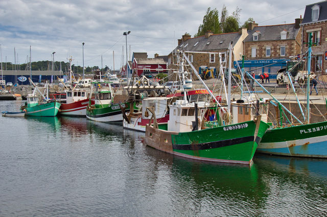 boats in the harbor