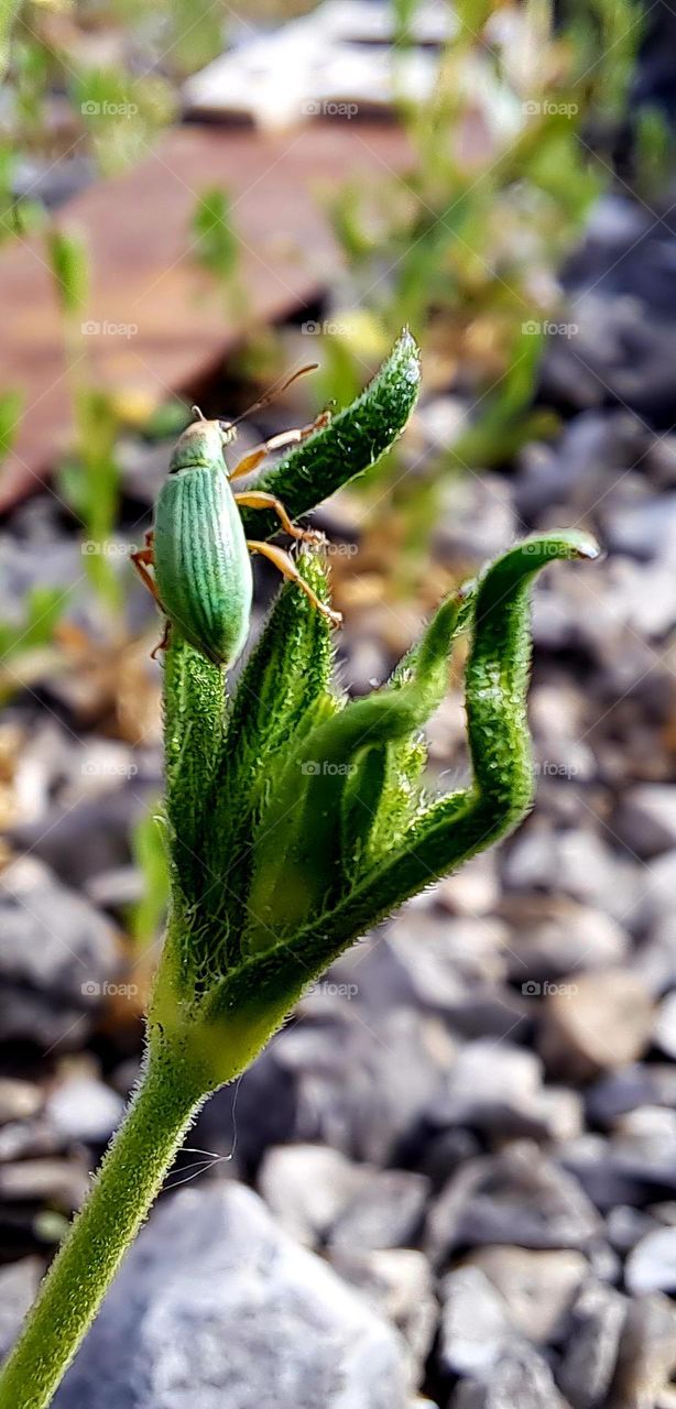 En las vias del tren.